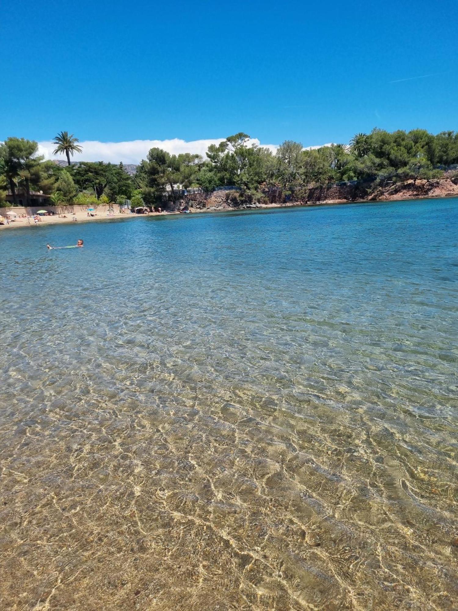 4p Vue Piscine St Raphael Valescure - Au Coeur Des Golfs *